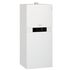 VIESSMANN VITODENS 222-F 2,4 -19 (кВт) бойлер 100л., image 